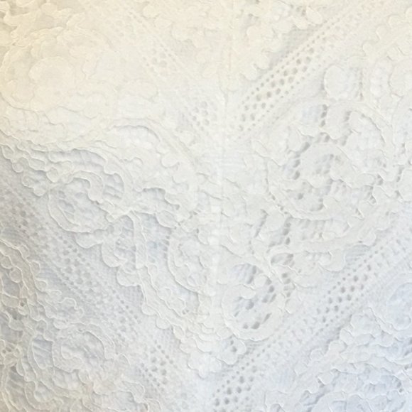 FRANCESCA'S Lace and Chiffon Skater Dress - Picture 4 of 10